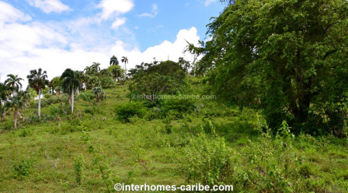 photos for SOSUA ABAJO: LOT OF CURRENTLY 32,000 M² (7.91 ACRES), VERSATILE USABLE, LOCATED CLOSE TO SOSUA