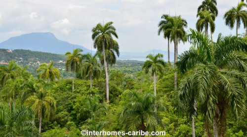 photos for SOSUA ABAJO: LOT OF CURRENTLY 32,000 M² (7.91 ACRES), VERSATILE USABLE, LOCATED CLOSE TO SOSUA