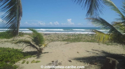 photos for SABANETA DE YASICA: THE LAST LOT WITH DIRECT BEACH LOCATION ON THE NATURAL LA BOKA BEACH