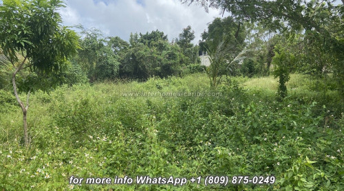 photos for SOSUA: BUILDING LOT OF 1,089 M² IN A CENTRAL LOCATION